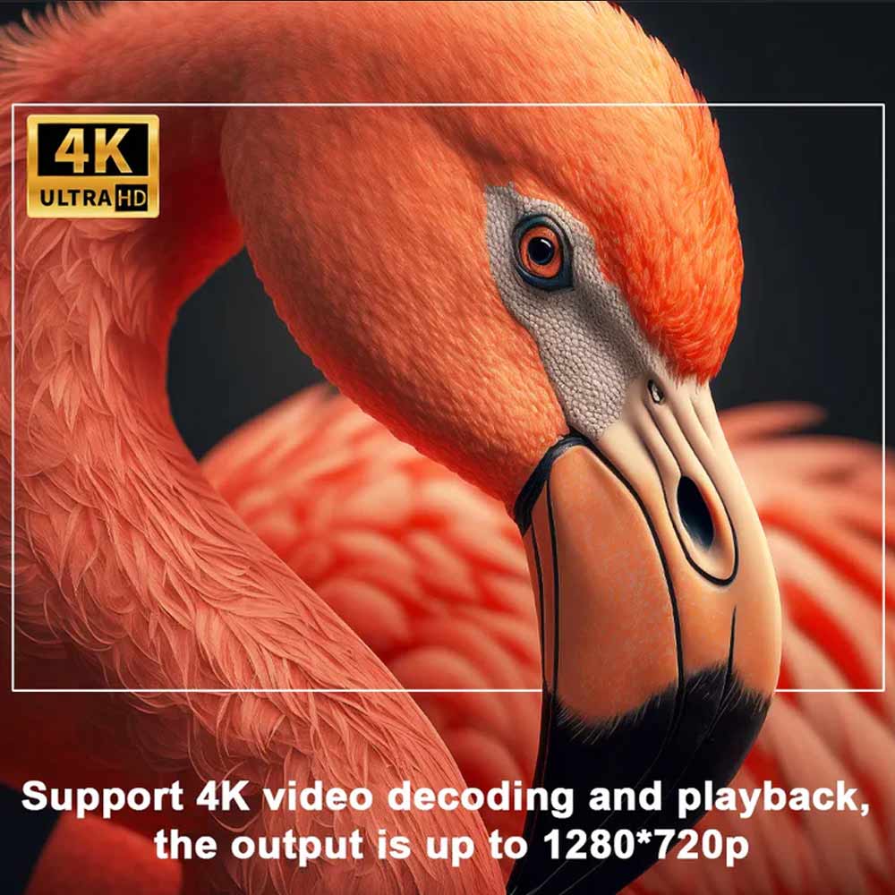 A photo showing a flamingo with text detailing the projector's resolution output